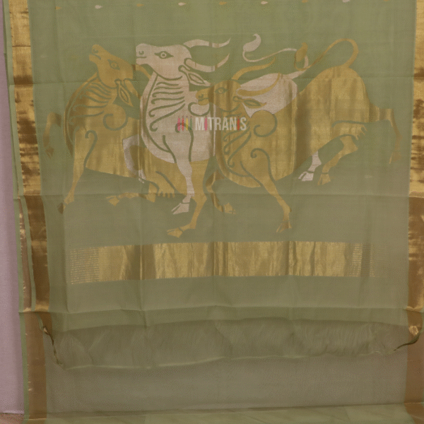 Venkatgiri Cotton by Cotton Pastel Green with Golden Zari Saree | Mitranis