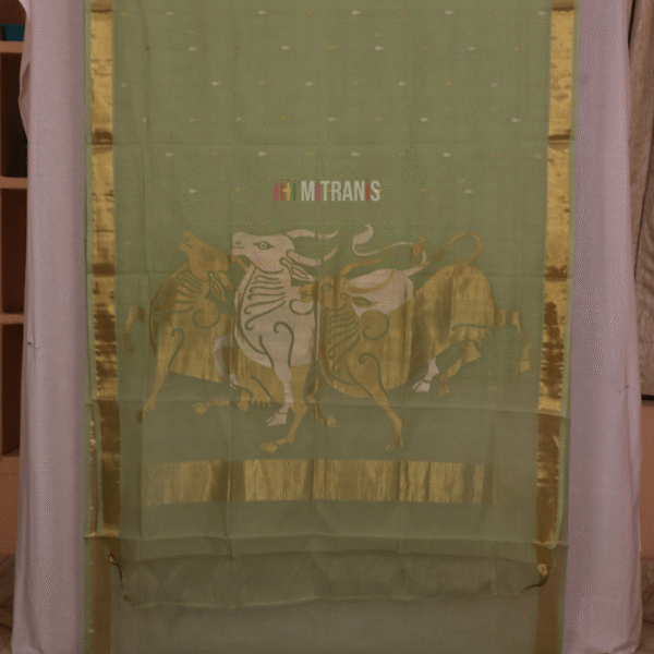 Venkatgiri Cotton by Cotton Pastel Green with Golden Zari Saree | Mitranis