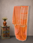Tussar Checked Bhujodi Fine Cotton Saree with Brocade Blouse Piece | Mitranis